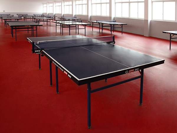sol sportif