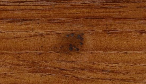 lVT