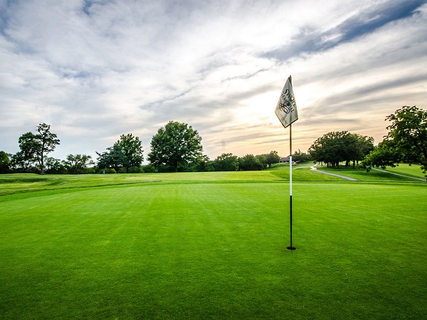 artificial grass putting green