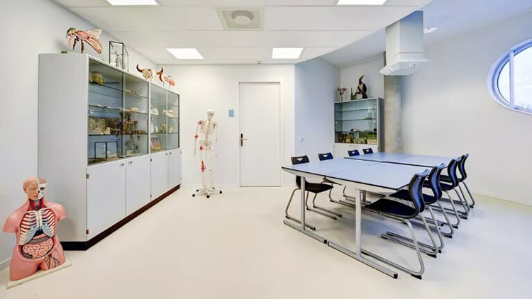 school corridor flooring